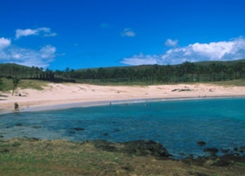 Show item 1 of 4. Full Day Anakena Private tour