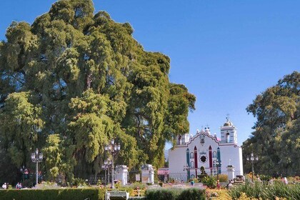 Visite privée de la nature : Hierve el Agua, Tule, Mezcal et Textiles