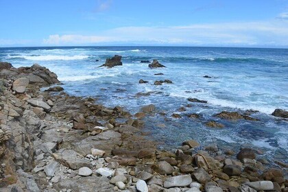 Monterey 1-Day Tour