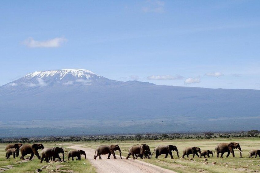 3 Days (2 nights); Tsavo East & Amboseli Safari: