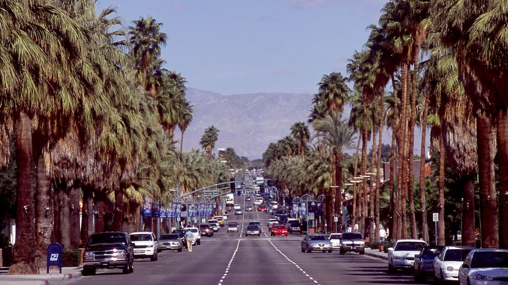 Show item 3 of 5. Palm trees line a busy street in Palm Springs