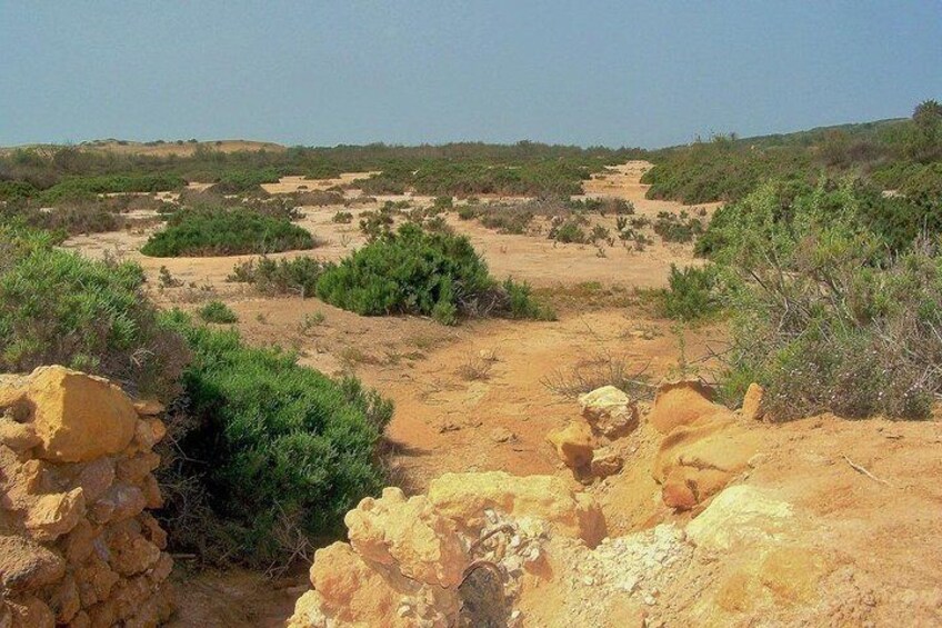 Visit Souss National Park