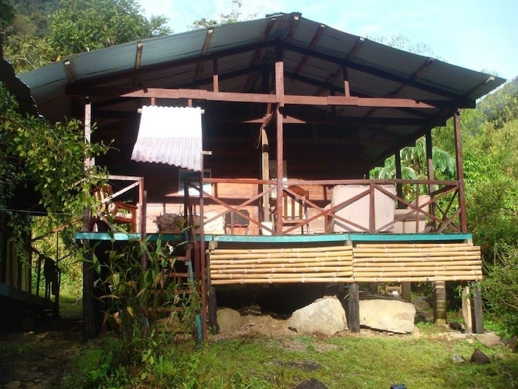 4-Day Manu National Park Tour: World Biosphere Reserve