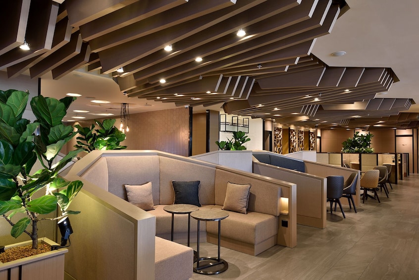 Plaza Premium Lounge at Singapore Changi Airport (SIN)