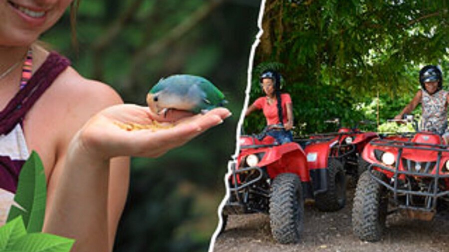 Mud Buggy Adventure at YAAMAN PARK