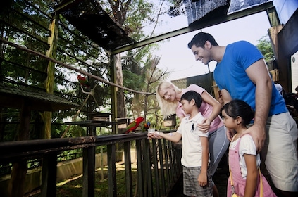 Biljett till Kuala Lumpurs fågelpark med upphämtning på hotellet