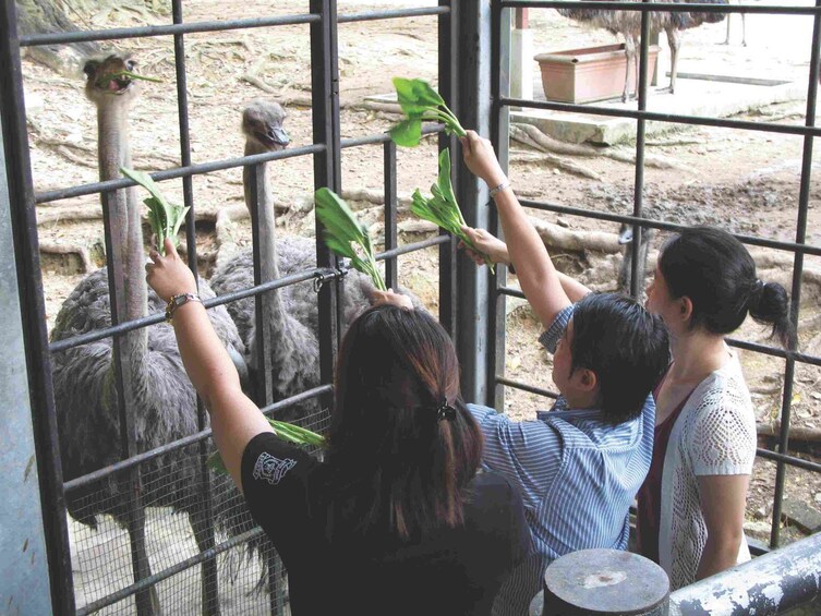 Kuala Lumpur Bird Park Ticket With Hotel Pick Up