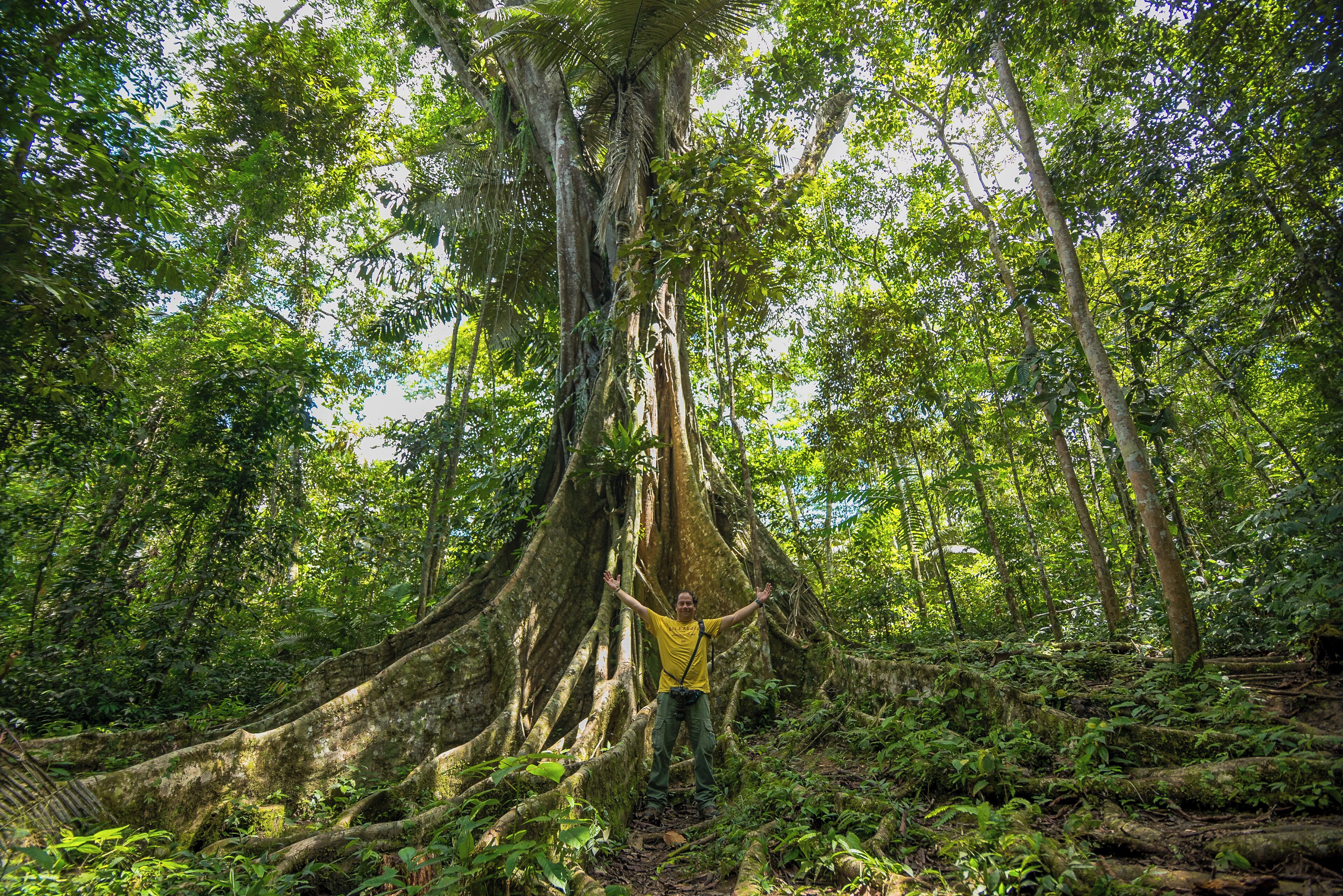 Excursión de 3 días a la Reserva Nacional Pacaya Samiria en Iquitos