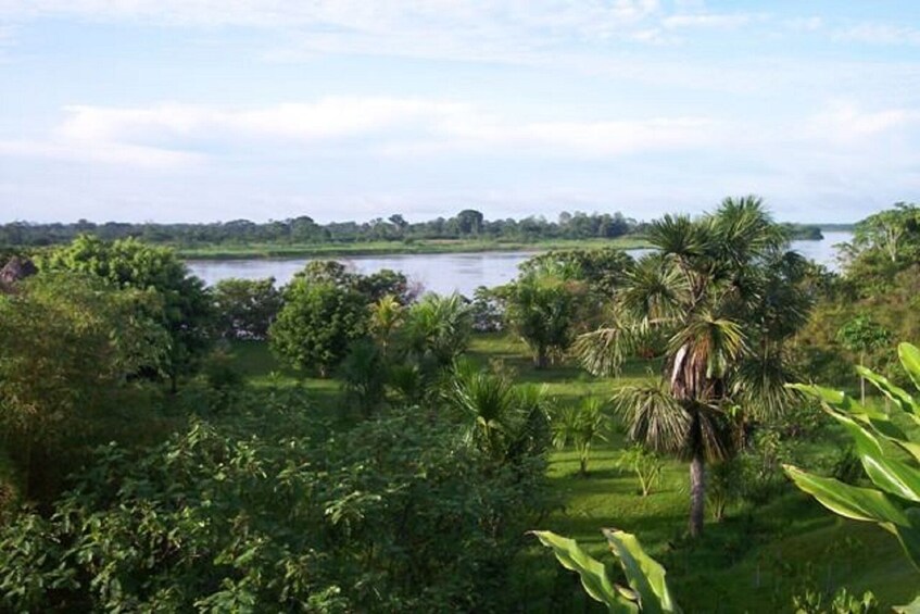 Pacaya Samiria National Reserve 3 Day Tour in Iquitos