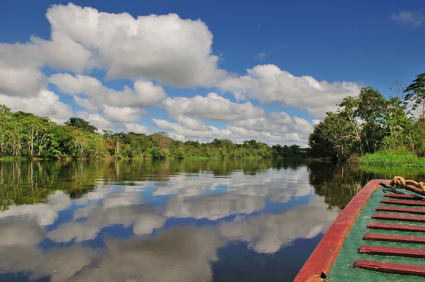 Pacaya Samiria National Reserve 3 Day Tour in Iquitos