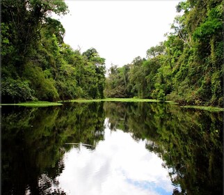 4-Day Trip to Pacaya Samiria National Reserve in Iquitos