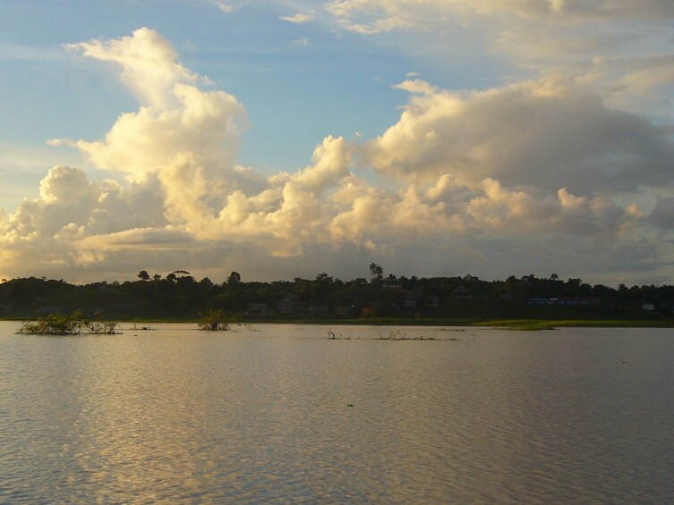 4-Day Trip to Pacaya Samiria National Reserve in Iquitos