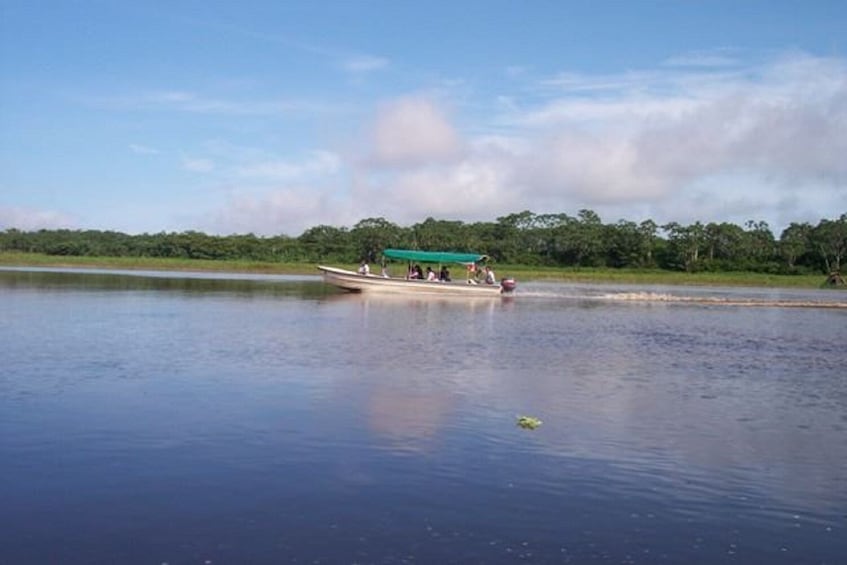 4-Day Trip to Pacaya Samiria National Reserve in Iquitos