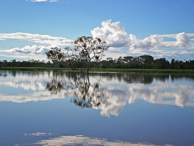 4-Day Trip to Pacaya Samiria National Reserve in Iquitos