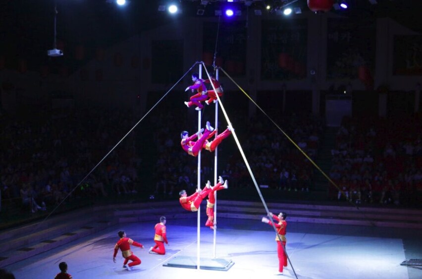 Jeju Circus World Ticket