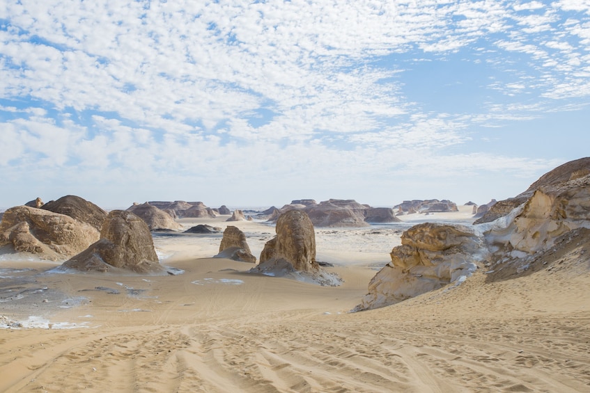 Cairo: 2-Day Bahariya Oasis Camp and Desert Tour