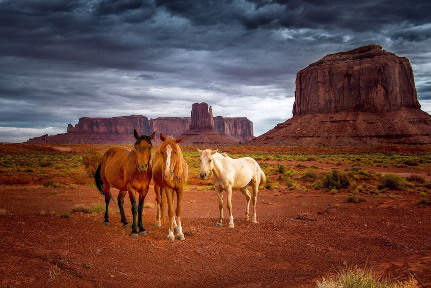 Navajo Tribal Park Monument Valley Self-Guided Driving Tour