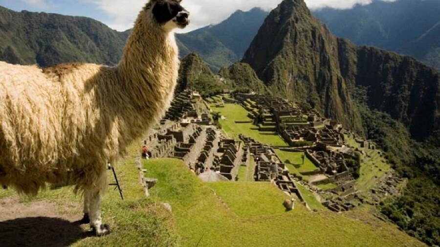 Machu Picchu 2 Day Tour in Cusco