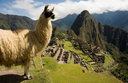 Machu Picchu 2-dagarstur i Cusco