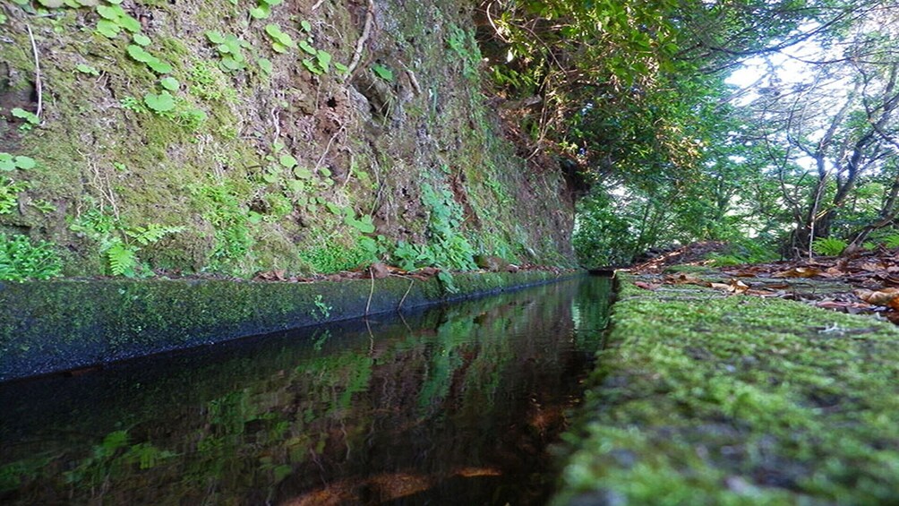 Private Service VIP Levada da Silveira Walk