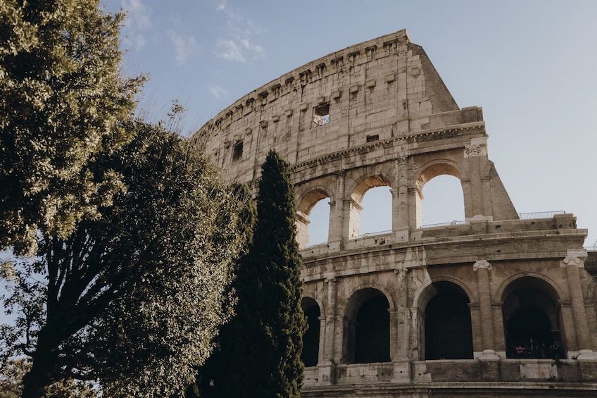 Show item 1 of 10. Online Tours from Home Colosseum & Gladiators