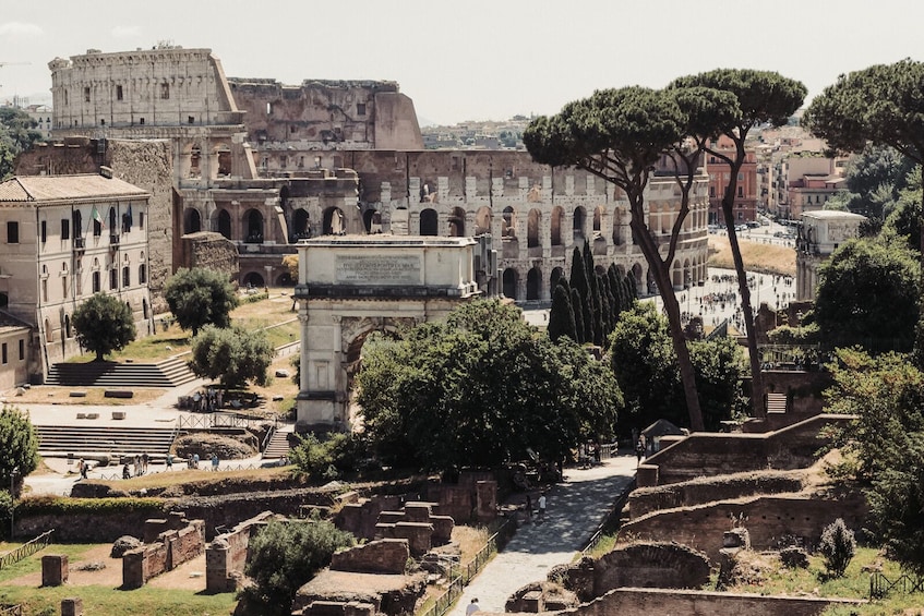 Show item 4 of 10. Colosseum & Gladiators: OnlineTour with Live & Local Guide