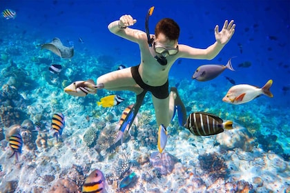 Hurghada Perjalanan Snorkeling Pulau Giftun Dengan Makan Siang