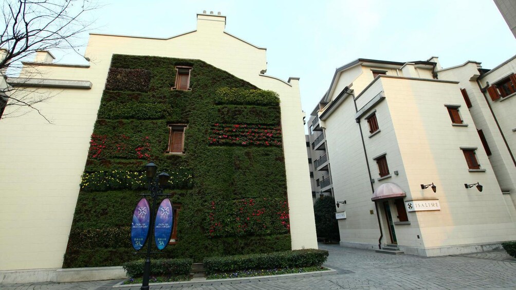 immaculately cured vines on the side of a building in Shanghai