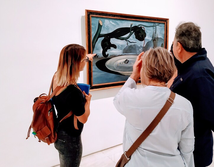 Private tour to Reina Sofia Museum