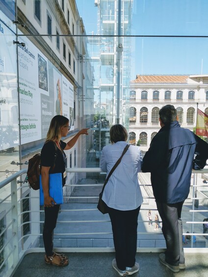 Private tour to Reina Sofia Museum
