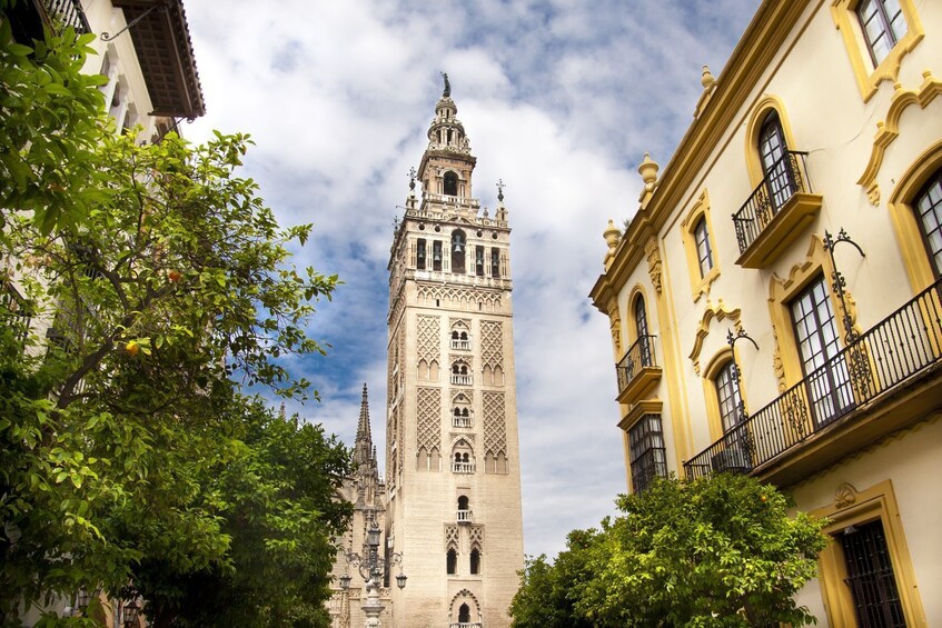 Private tour to Alcazar & Cathedral of Seville