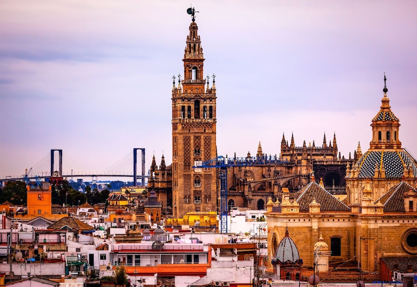Private tour to Alcazar & Cathedral of Seville