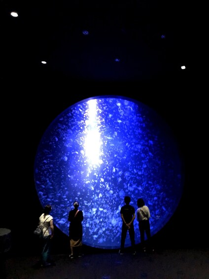 Show item 1 of 4. Discover Tsuruoka : Jellyfish Aquarium and Sake Brewery :A