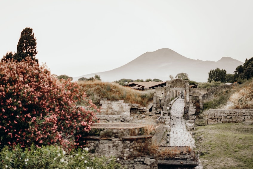Show item 1 of 10. Tours from Home: Best of Pompeii with Live Local Guide