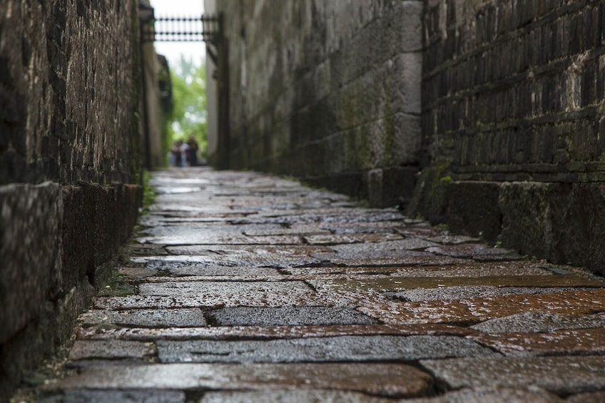 Private Full-Day Wuzhen Excursion