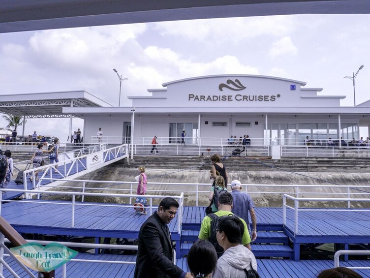 1-DAY WITH PARADISE SAILS CRUISE - HALONG BAY