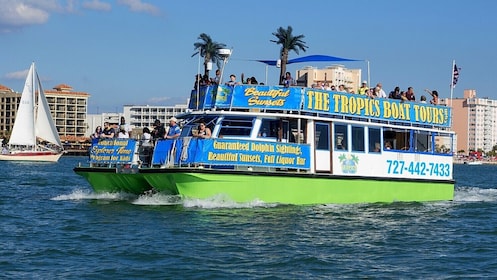 Wild Dolphin Exploration Boat Ride and Clearwater Beach Day