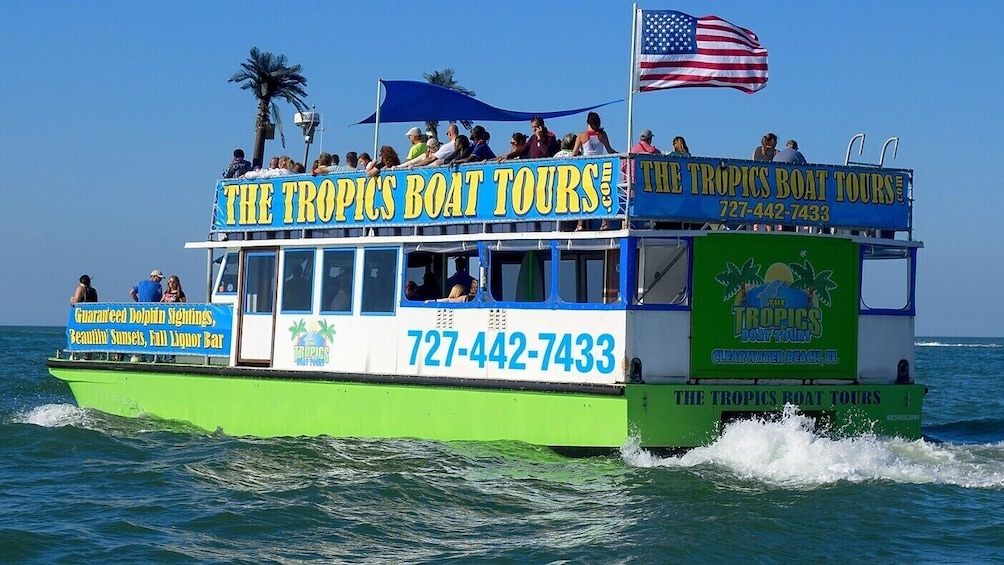 wild dolphin tours reviews