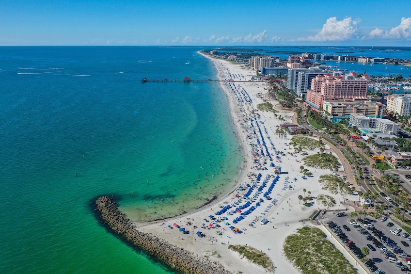 Wild Dolphin Exploration Boat Ride and Clearwater Beach Day 