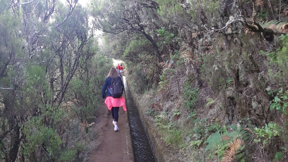 Private Service VIP Alecrim Levada Walk