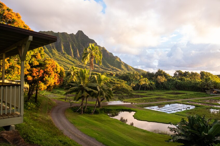 Aloha 'Aina Tour