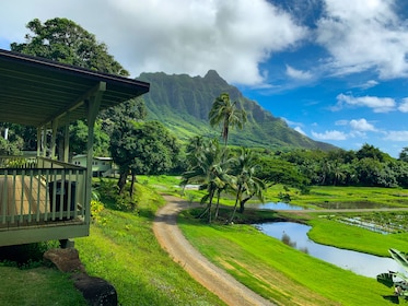 Kualoa Grown Tour