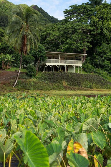 Aloha 'Aina Tour