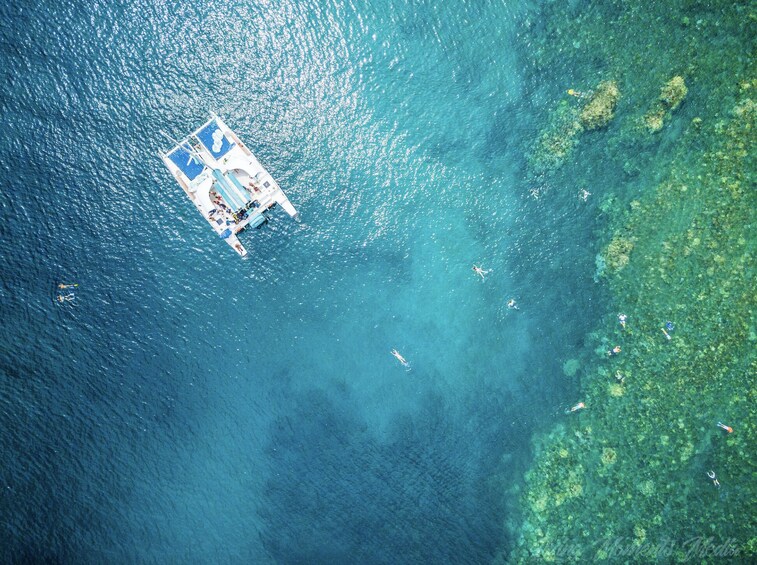 Afternoon West Maui Snorkel 