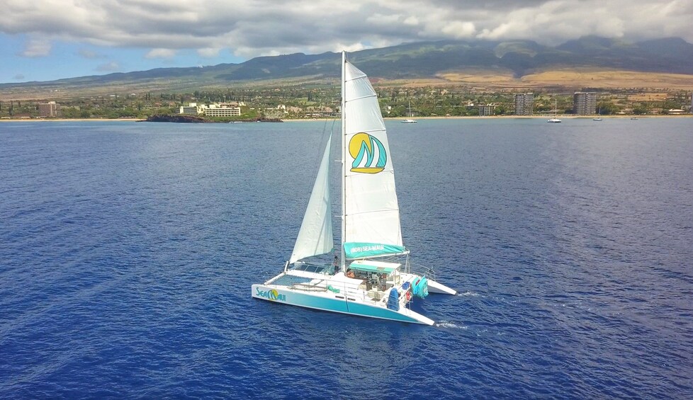 Afternoon West Maui Snorkel 