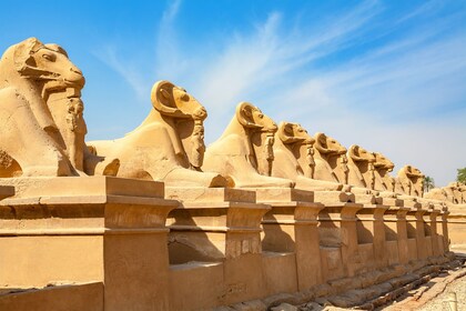 Fra Kairo Klassisk bustur med overnatning til Luxor og guidet tur