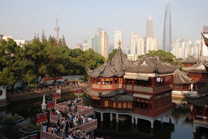 Visita de medio día en autobús por la ciudad de Shanghai