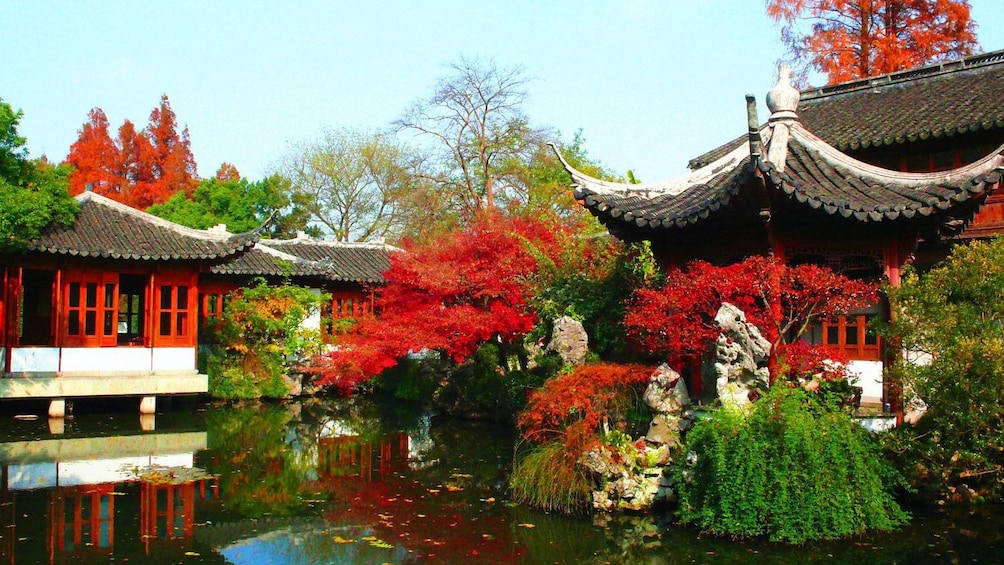 Show item 5 of 9. vibrant colored leaves along the pond in China