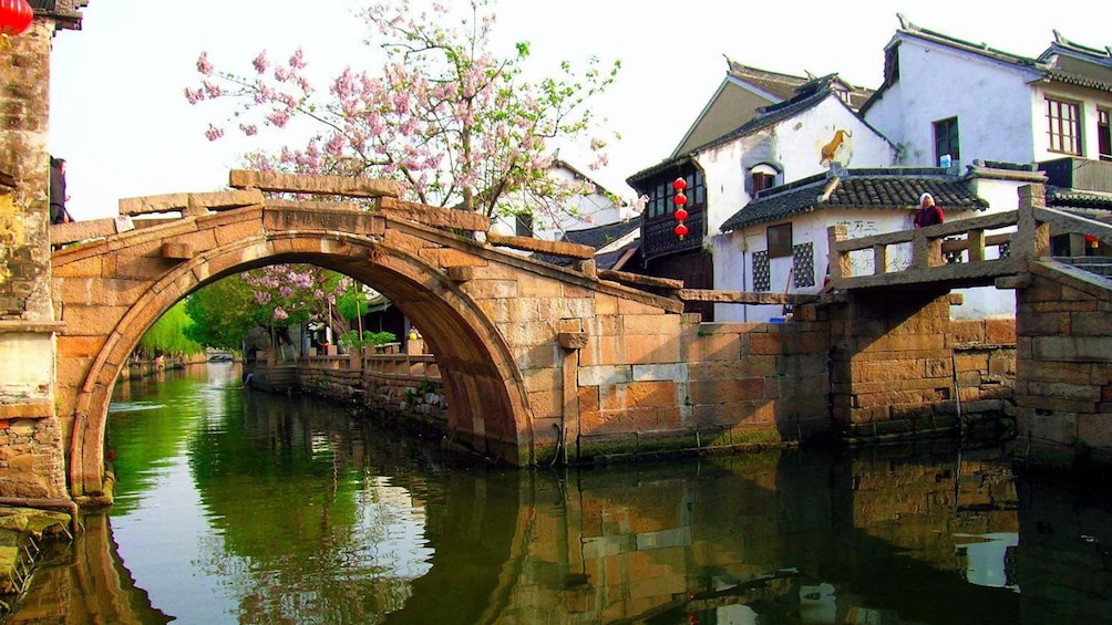 Show item 3 of 9. blossoming tree near a short bridge in China