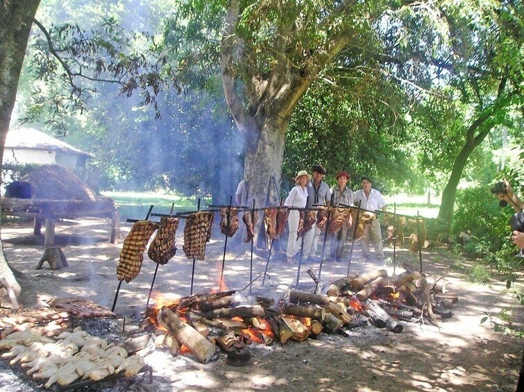 Shore Excursion: Small Group Estancia Tour to Areco